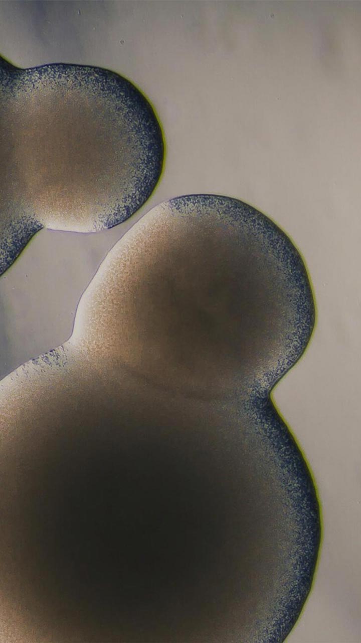 Protegemos tu producto, y también al planeta.