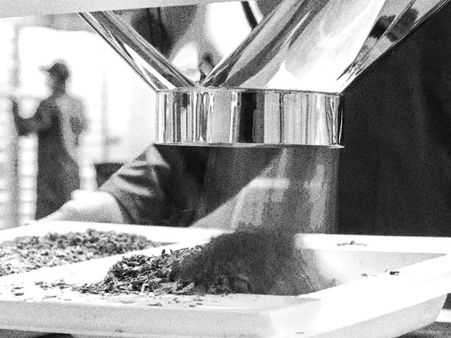 (Fase 03) Cultivo